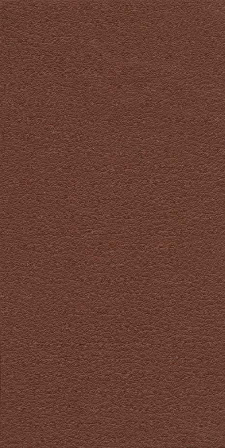 گلستان سعدی با مینیاتور (چرم)