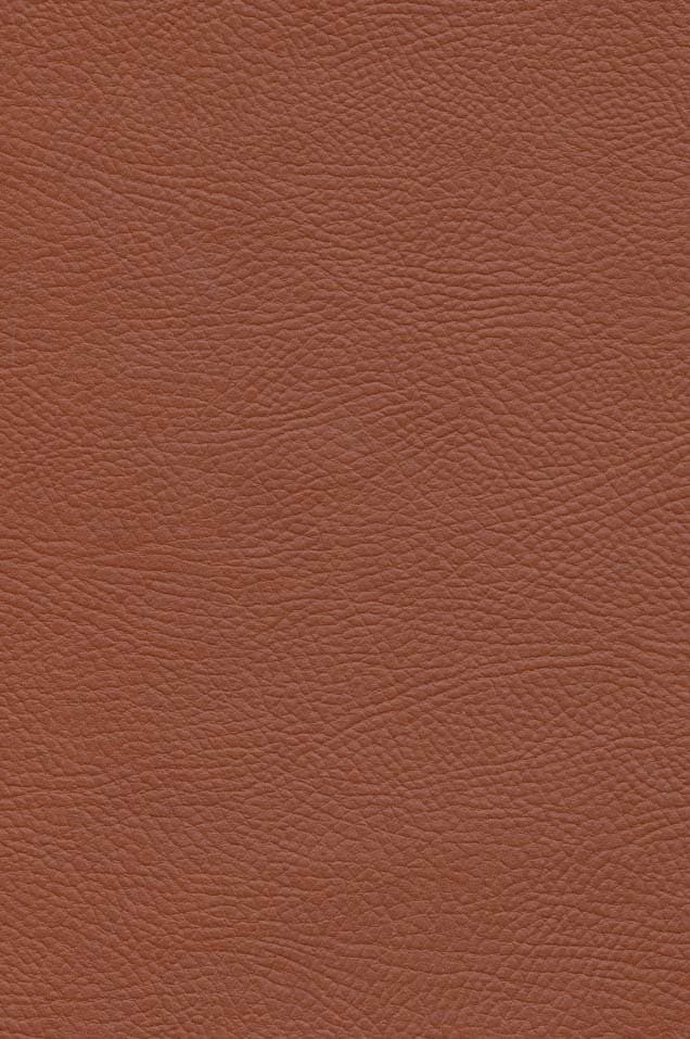 کیمیاگر (2زبانه،چرم)