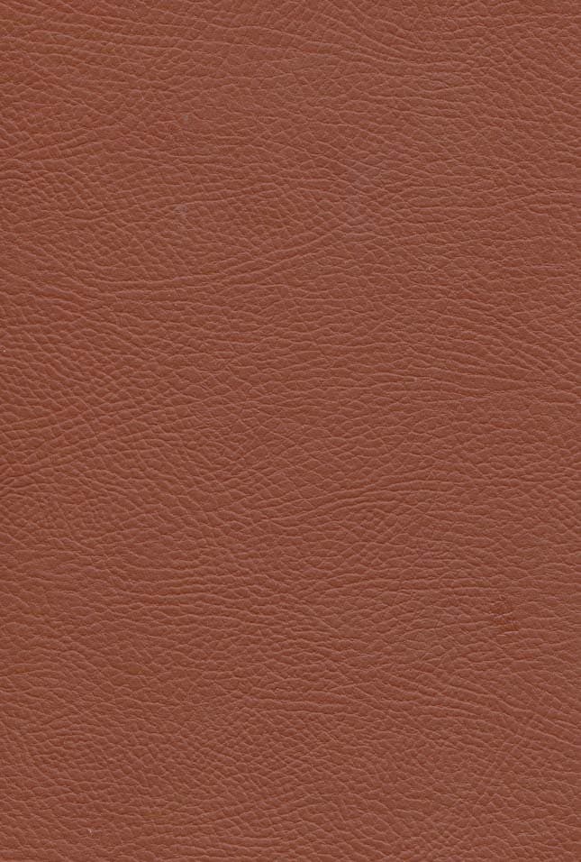 کلئوپاترا (چرم،لب طلایی)