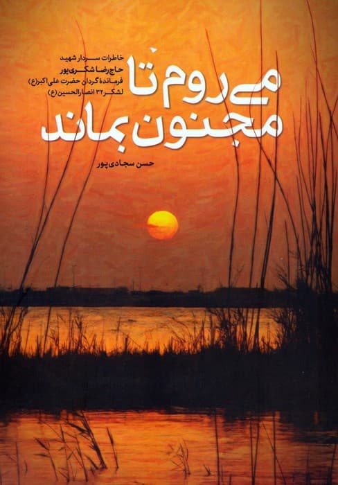 می روم تا مجنون بماند (خاطرات سردار شهید حاج رضا شکری پور)