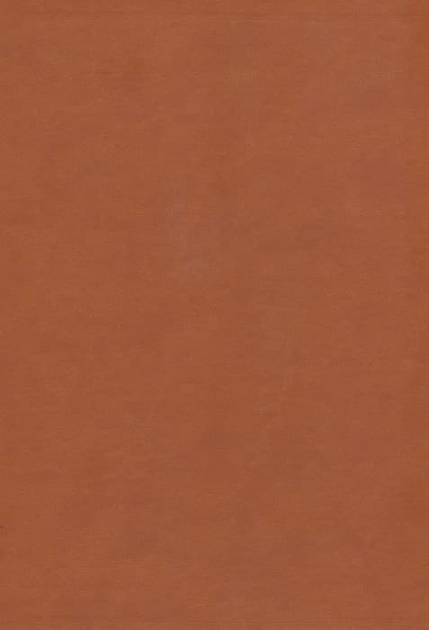 دیوان حافظ (طرح مس برجسته)،(2زبانه،گلاسه،ترمو،پلاک دار برجسته،باجعبه)