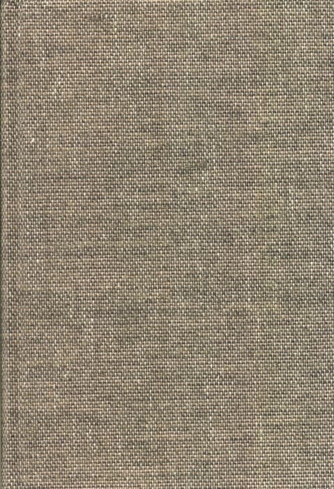 ذیل فرهنگ بزرگ سخن