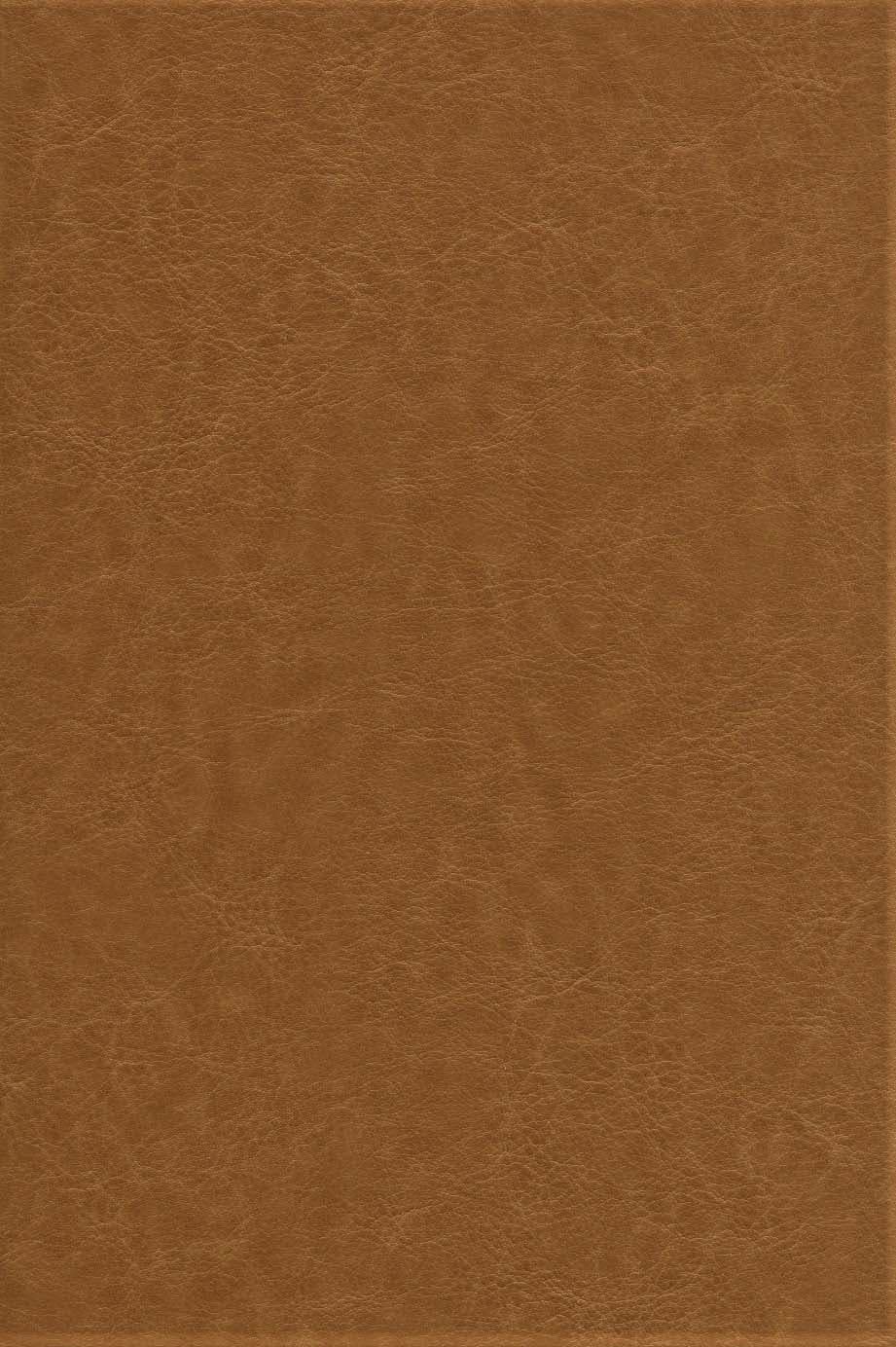 دیوان حافظ شیرازی،همراه با فالنامه (گلاسه،ترمو،پلاک دار،لیزری،باقاب)