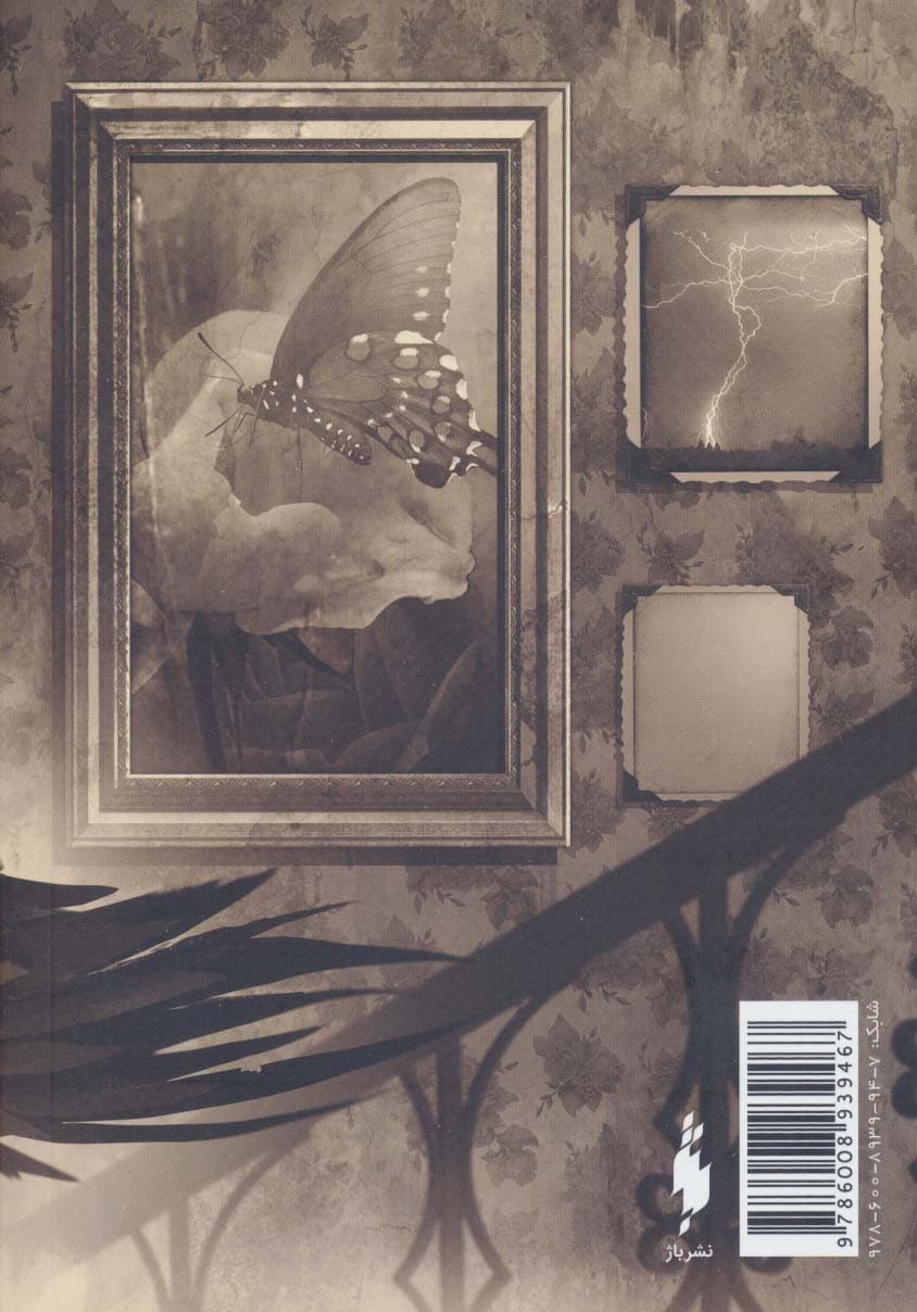 در سایه پرنده های سیاه