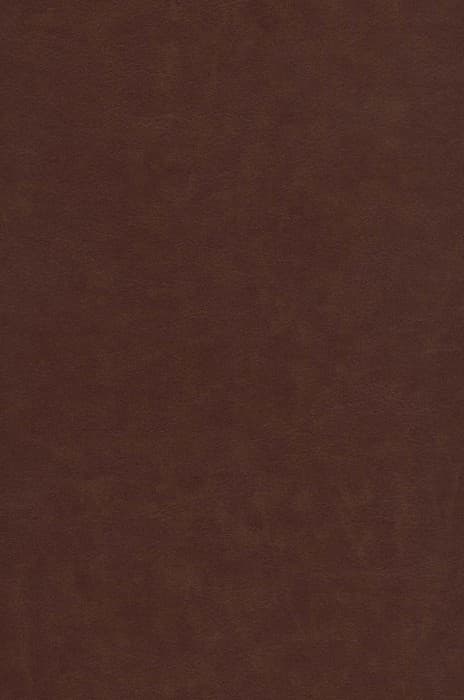 رباعیات خیام با مینیاتور (5زبانه،گلاسه،ترمو،پلاکدار)