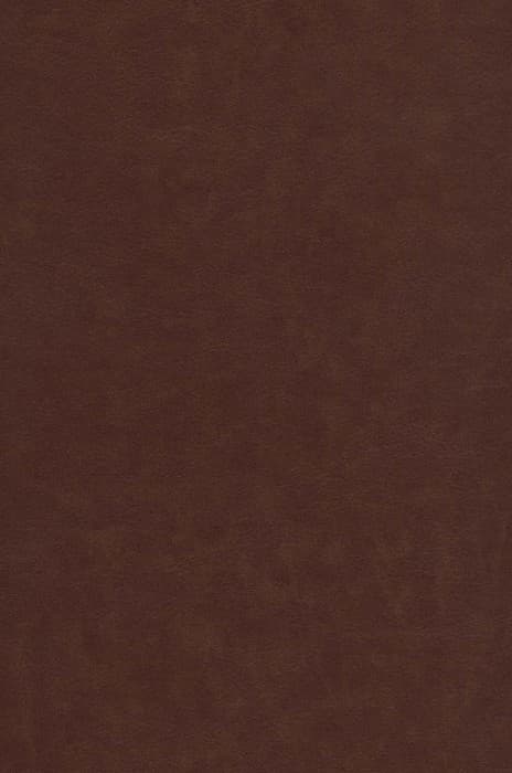 رباعیات خیام با مینیاتور (5زبانه،گلاسه،ترمو،لیزری،باقاب)