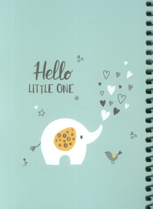 دفتر برنامه ریزی (پلنر قدیما،کد B02)،(چند طرح،سیمی)