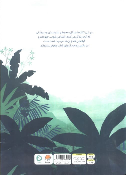 بالا روی درختان پایین توی جنگل (مجموعه ی بالا و پایین)