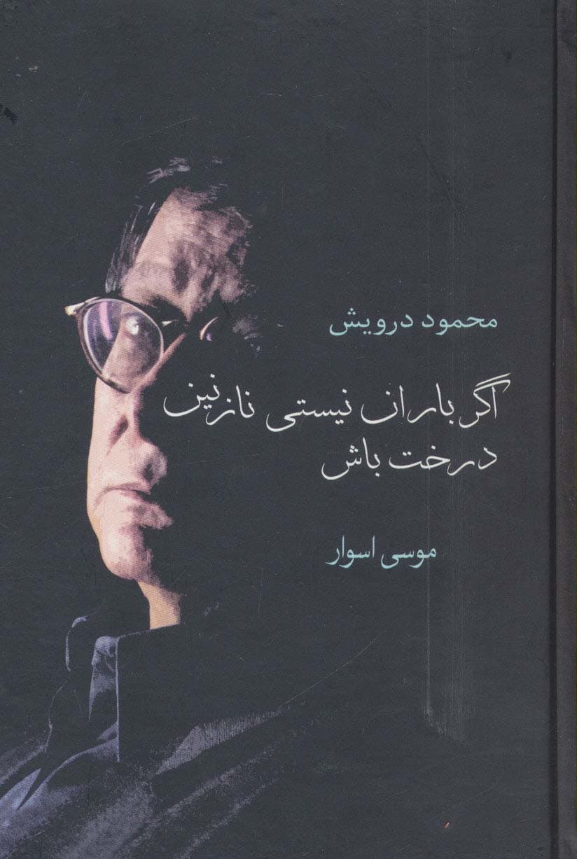 اگر باران نیستی نازنین درخت باش