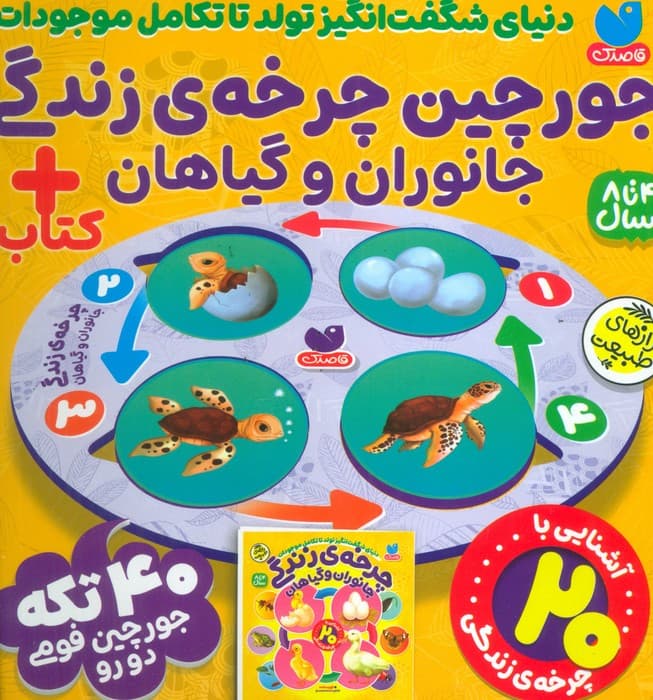 بسته پازل فومی چرخه ی زندگی جانوران و گیاهان (کتاب+جورچین 40 تکه)،(باجعبه)