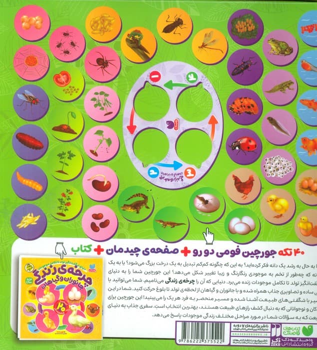 بسته پازل فومی چرخه ی زندگی جانوران و گیاهان (کتاب+جورچین 40 تکه)،(باجعبه)