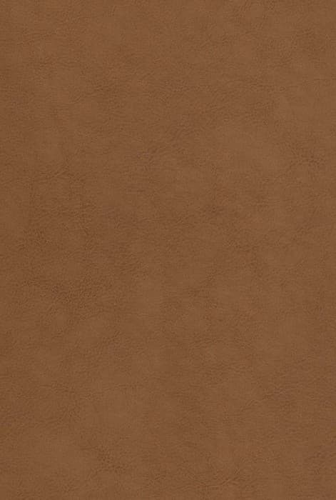 شاهنامه فردوسی با مینیاتور (گلاسه،چرم،لیزری،باقاب)