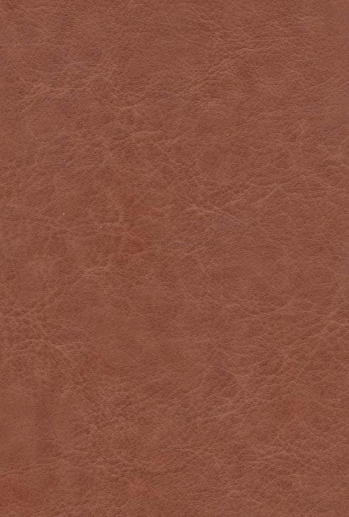 دیوان حافظ امیرخانی (2زبانه،گلاسه،چرم،لیزری،باقاب)