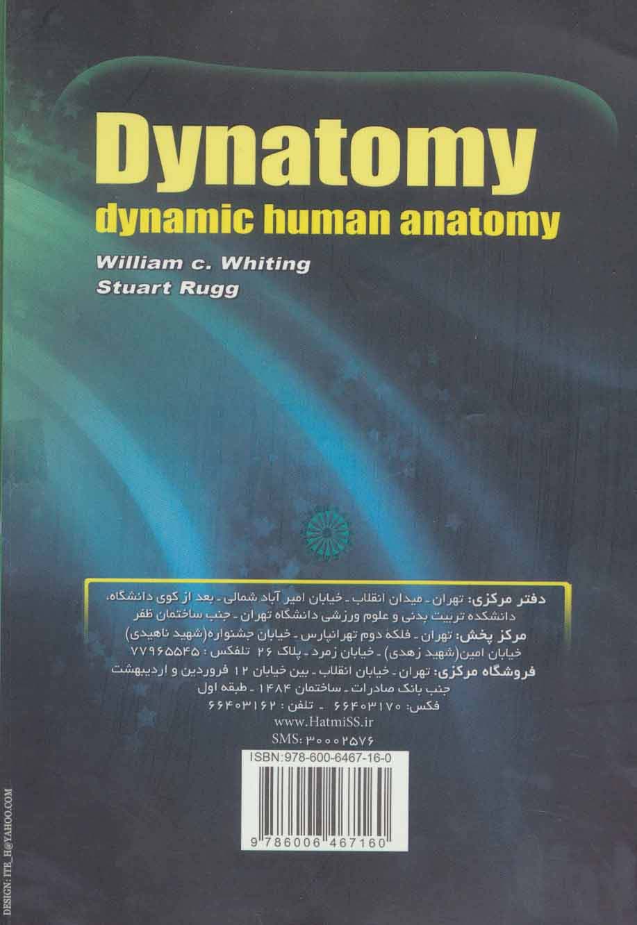 آناتومی حرکتی