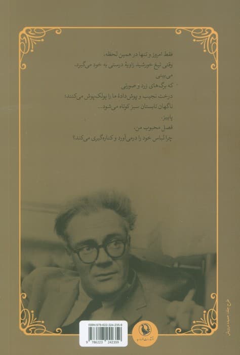 جنون ابدی (گزیده اشعار)