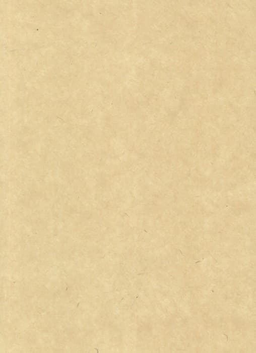 دفتر یادداشت بی خط I AM PAPER (گرافت طلاکوب،کد 995)