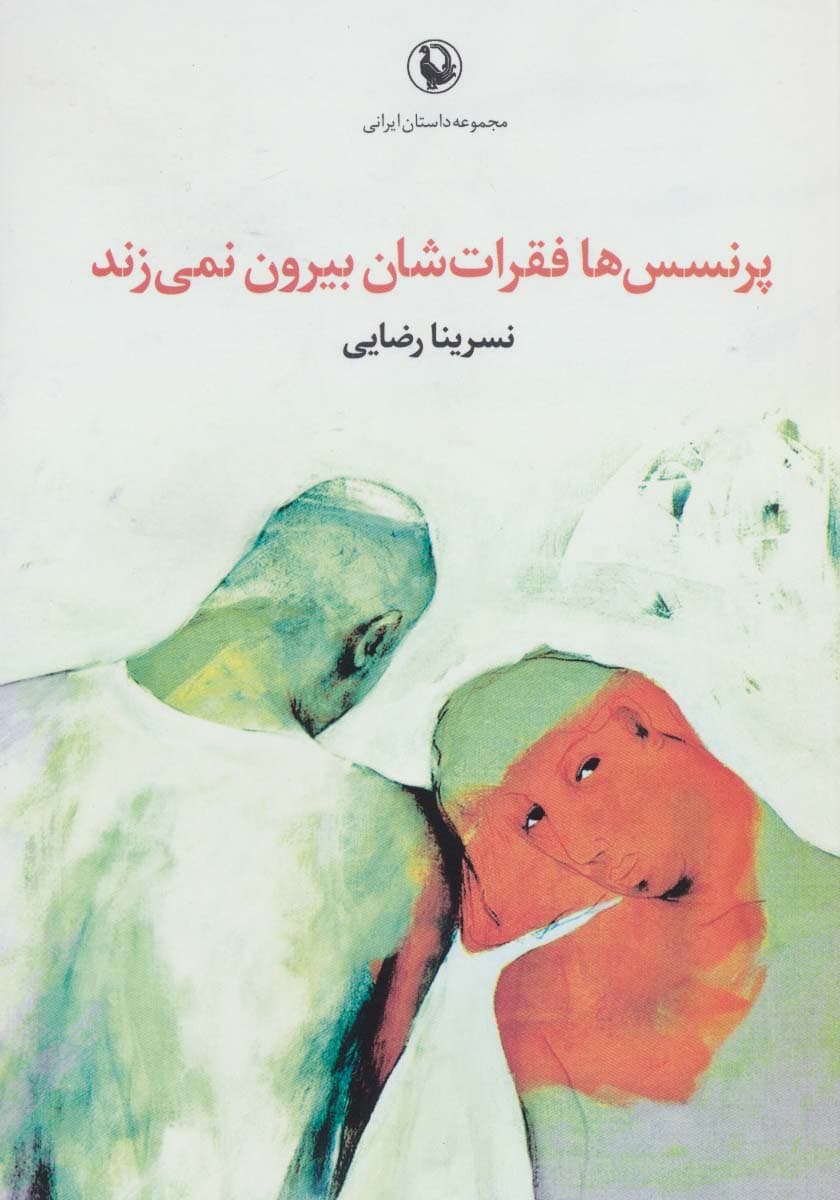 پرنسس ها فقرات شان بیرون نمی زند (مجموعه داستان ایرانی)