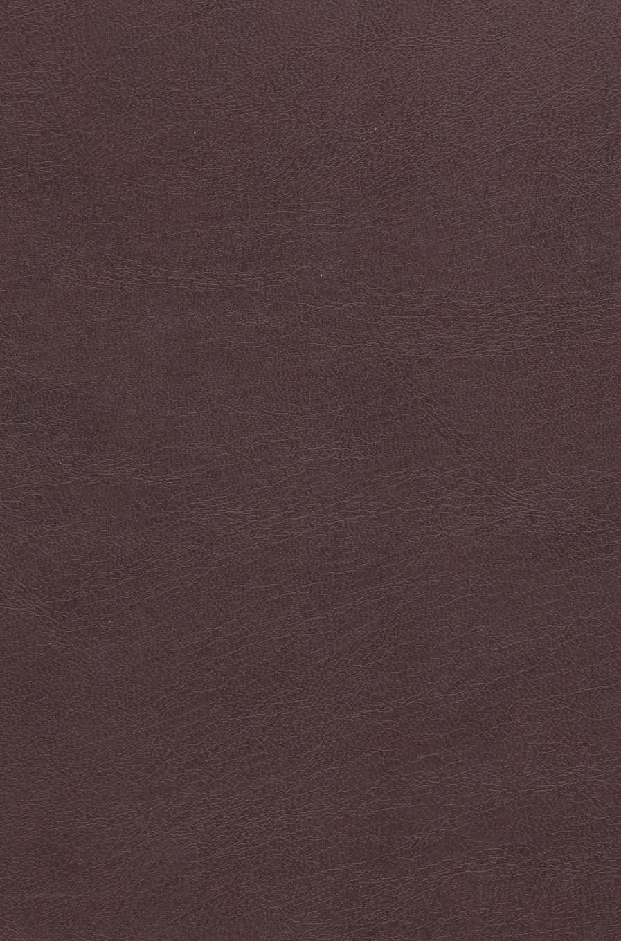 صحیفه سجادیه