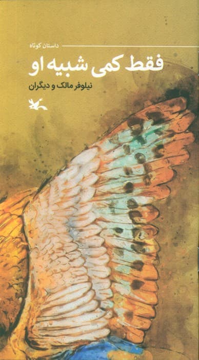 فقط کمی شبیه او (گلاسه)