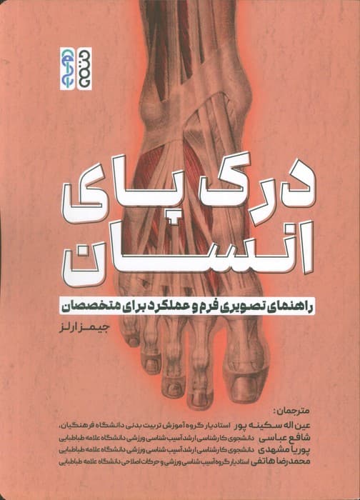 درک پای انسان (راهنمای تصویری فرم و عملکرد برای متخصصان)