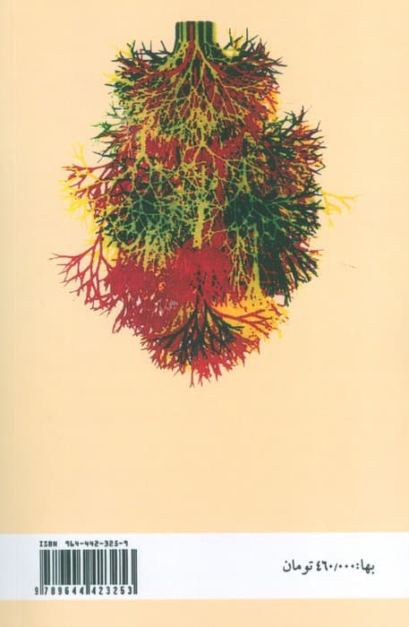 طوبا و معنای شب