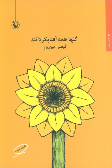 گلها همه آفتابگردانند