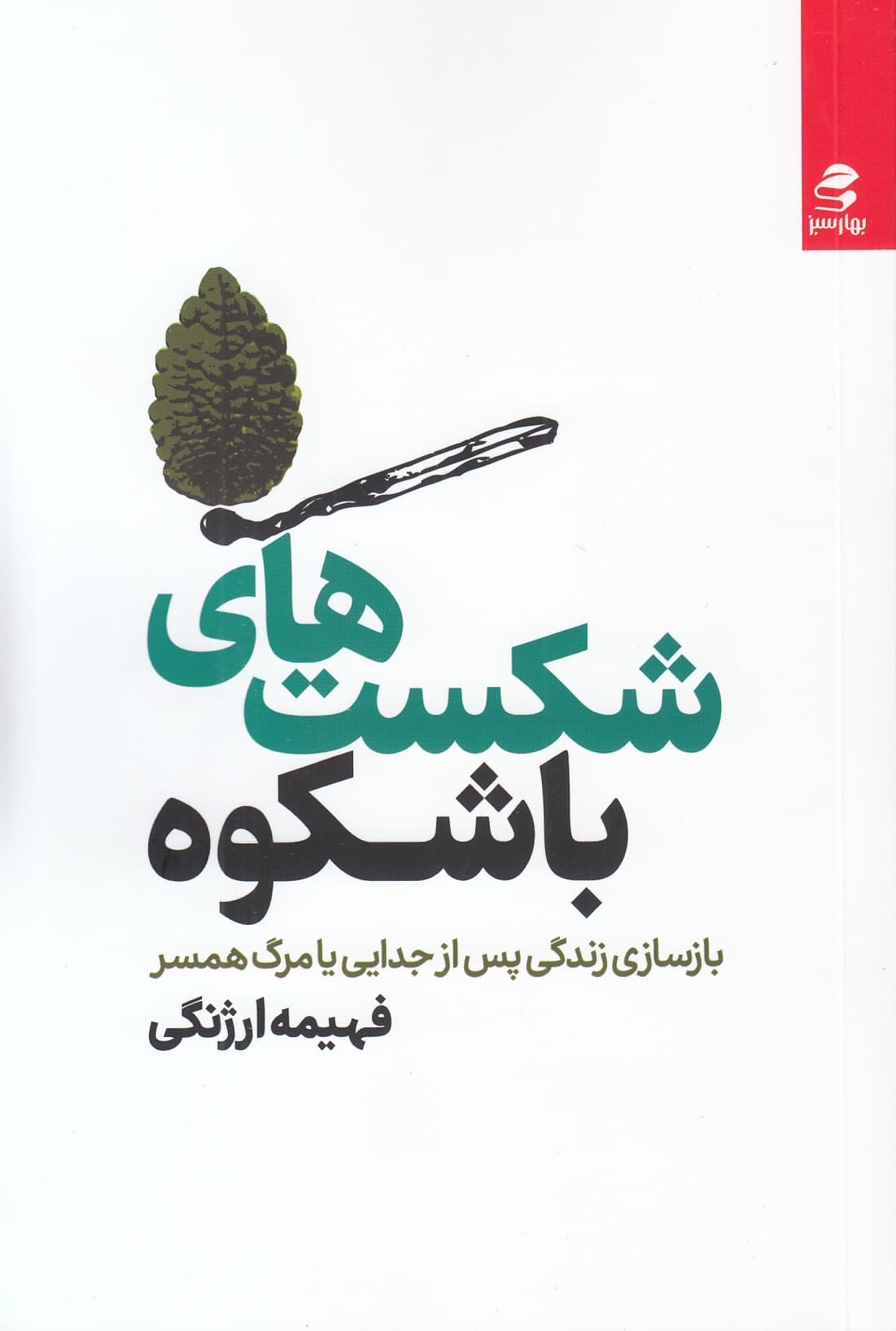 شکست‌های باشکوه (بازسازی زندگی پس از جدایی یا مرگ همسر)