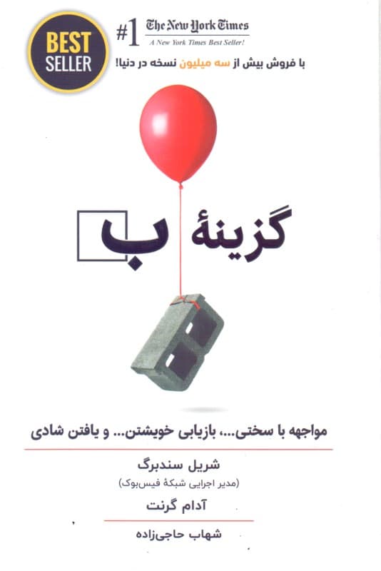 گزینه ب (مواجهه با سختی بازیابی خویشتن و یافتن شادی)