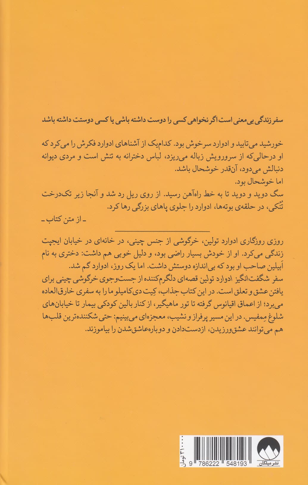 سفر شگفت‌انگیز ادوارد تولین