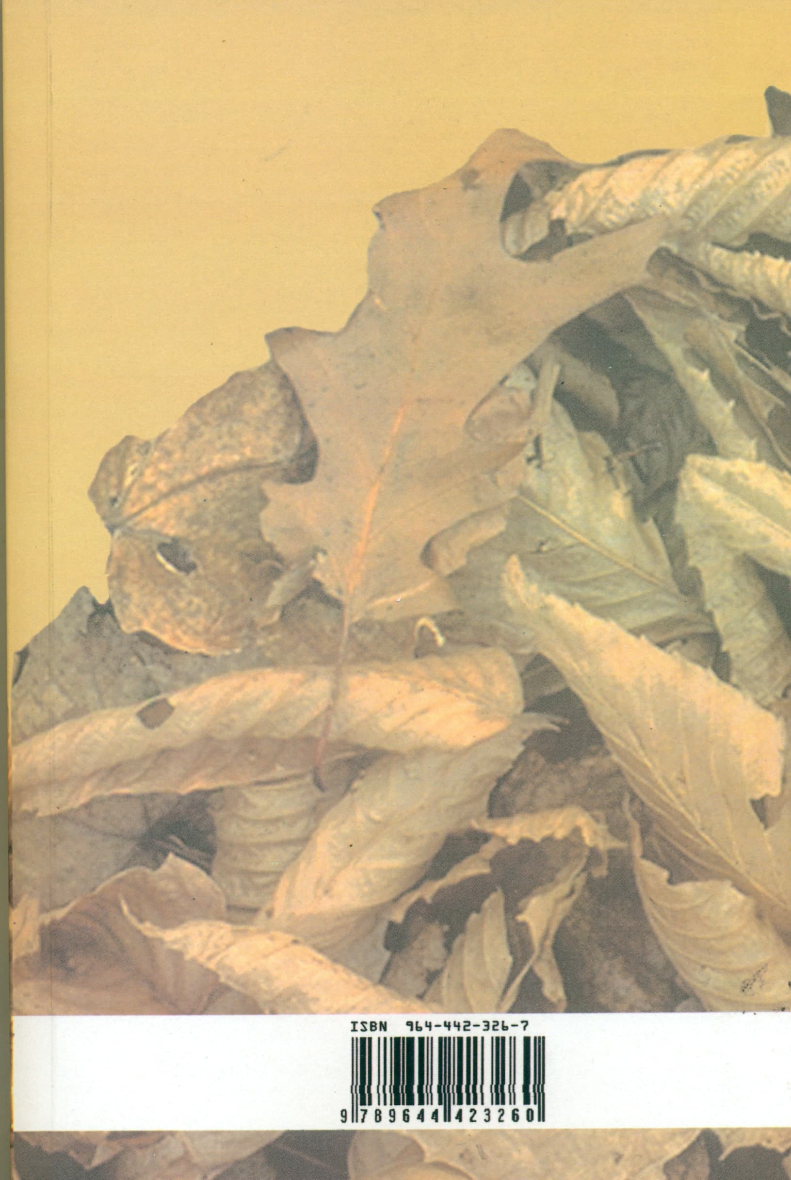 در خلوت خواب