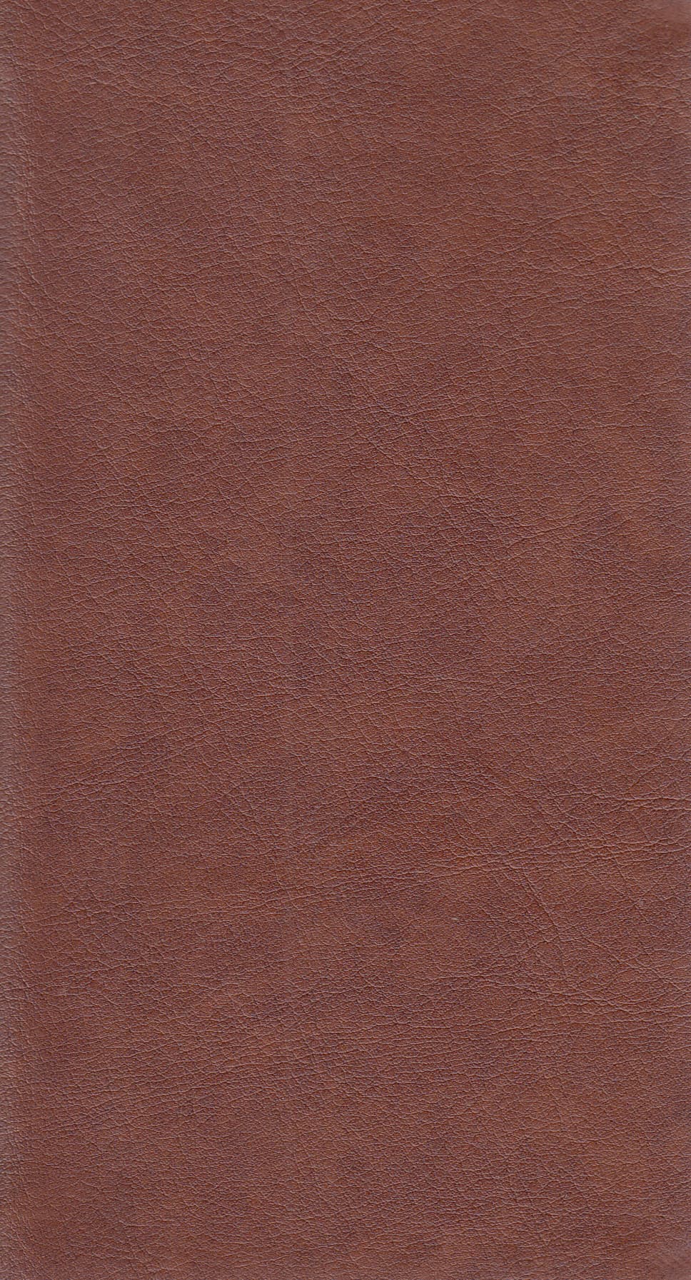 دیوان حافظ (با فال‌نامه)