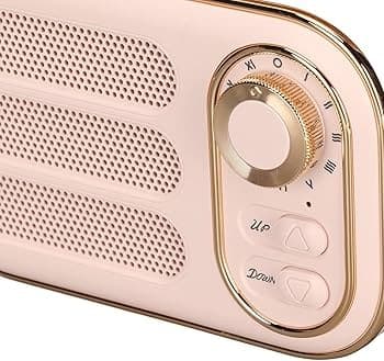 اسپیکر فانتزی مدل DW13 (صورتی)