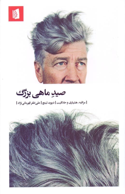 صید ماهی بزرگ (مراقبه هشیاری و خلاقیت)