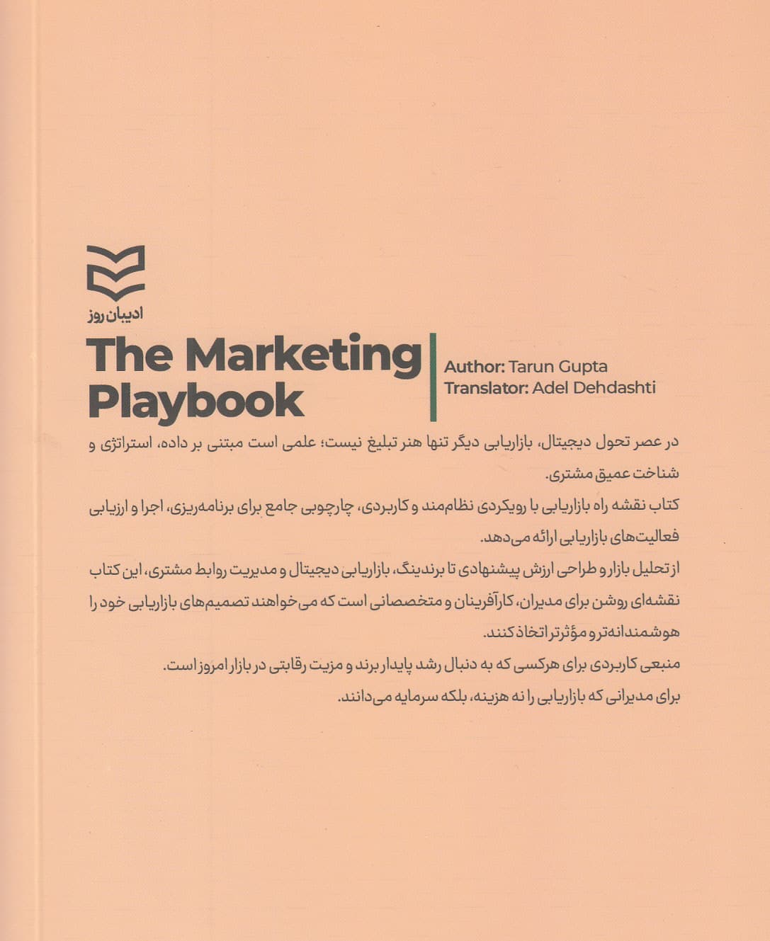 نقشه راه بازاریابی (استراتژی و تکنیک‌های کارآفرینانه)