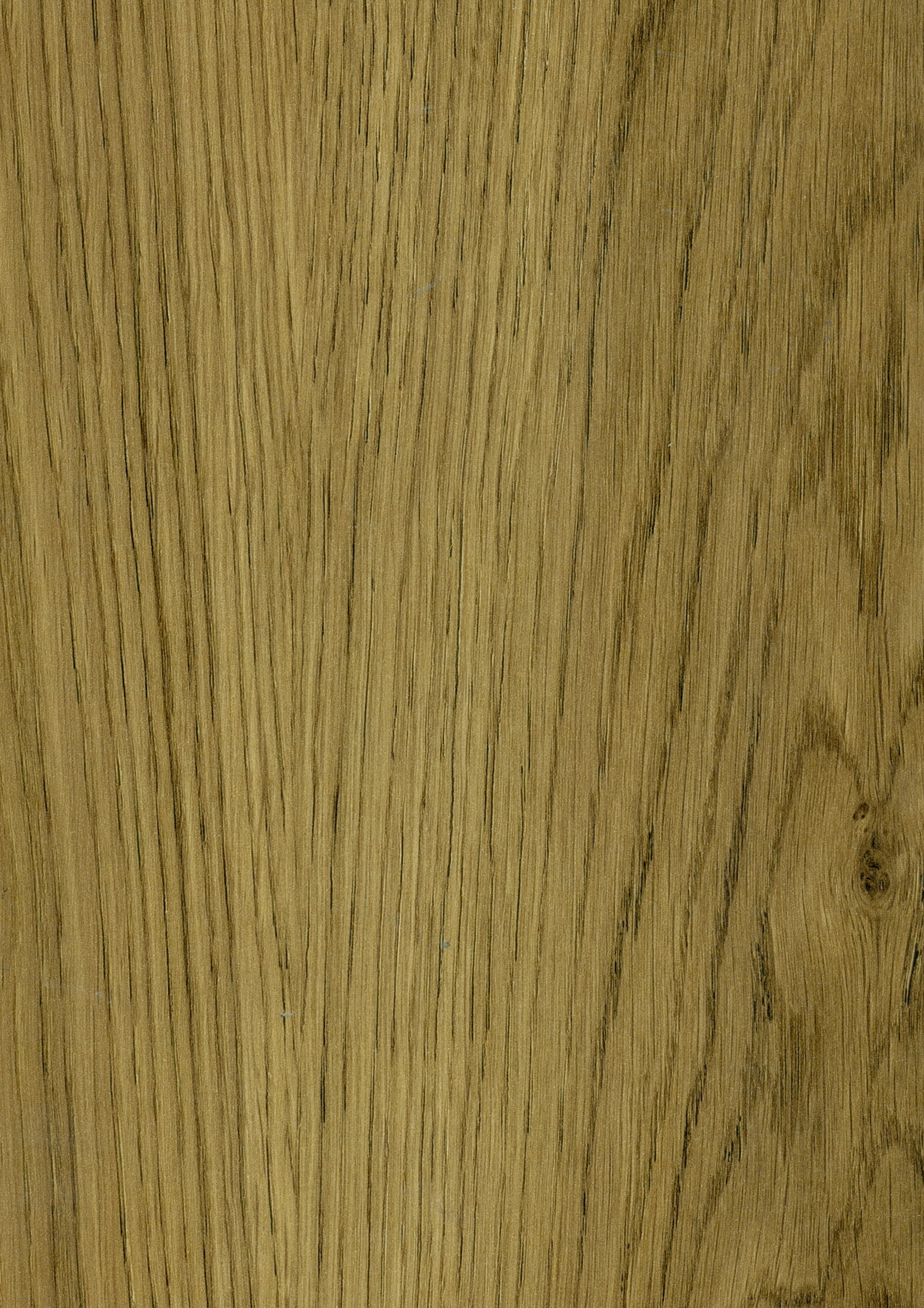 شمس تبریزی (مجموعه دیار ما) چوبی