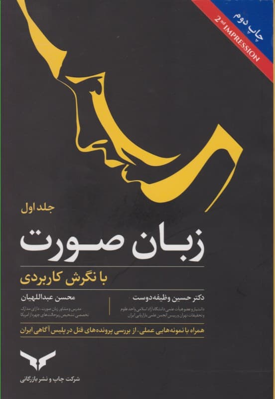 زبان صورت (با نگرش کاربردی)