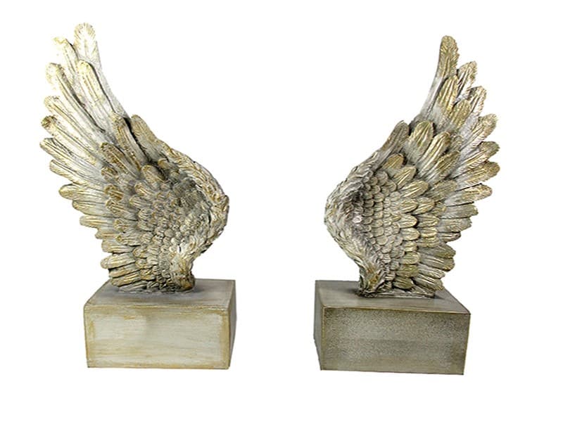 غش‌گیر کتاب طرح بال فرشته (1)