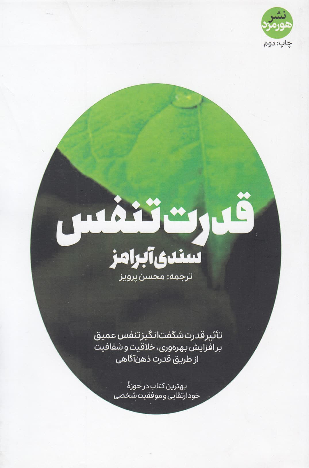 قدرت تنفس (تاثیر قدرت شگفتانگیز تنفس عمیق بر افزایش بهرهوری خلاقیت و شفافیت از طریق قدرت ذهنآگاهی)