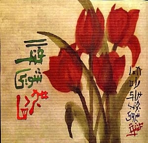 فنگ‌شویی برای مجردها (108 راه برای چیدمان محیط اطراف برای پذیرش نیروی عشق)