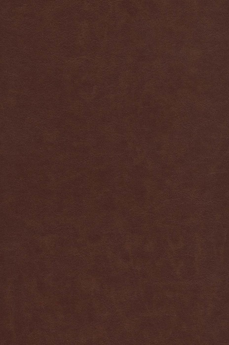 رباعیات خیام با مینیاتور (5زبانه،گلاسه،ترمو،پلاکدار)