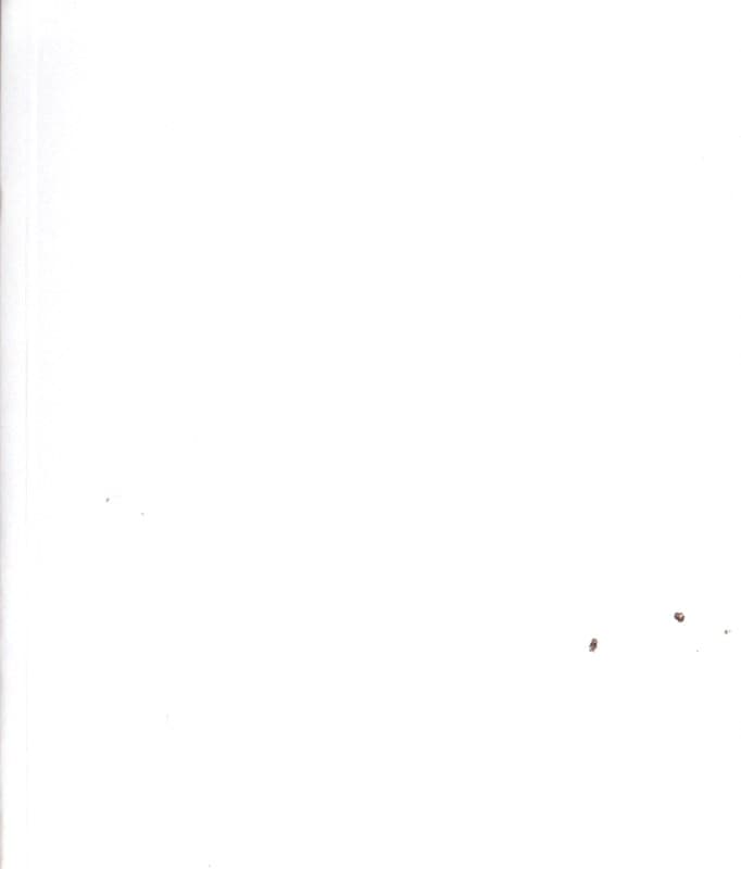 آشنایی با برونر (راهنمای کارورزان و دانشجویان برای پرورش سال‌های نخستین کودکی)