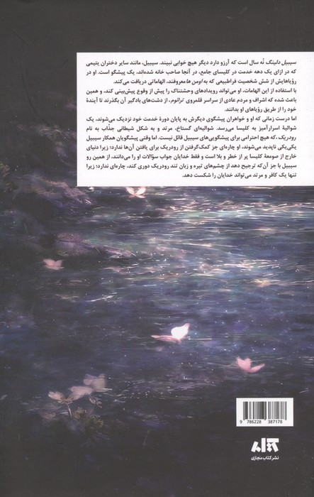 شوالیه و شاپرک (مجموعه پادشاهی استون واتر 1)