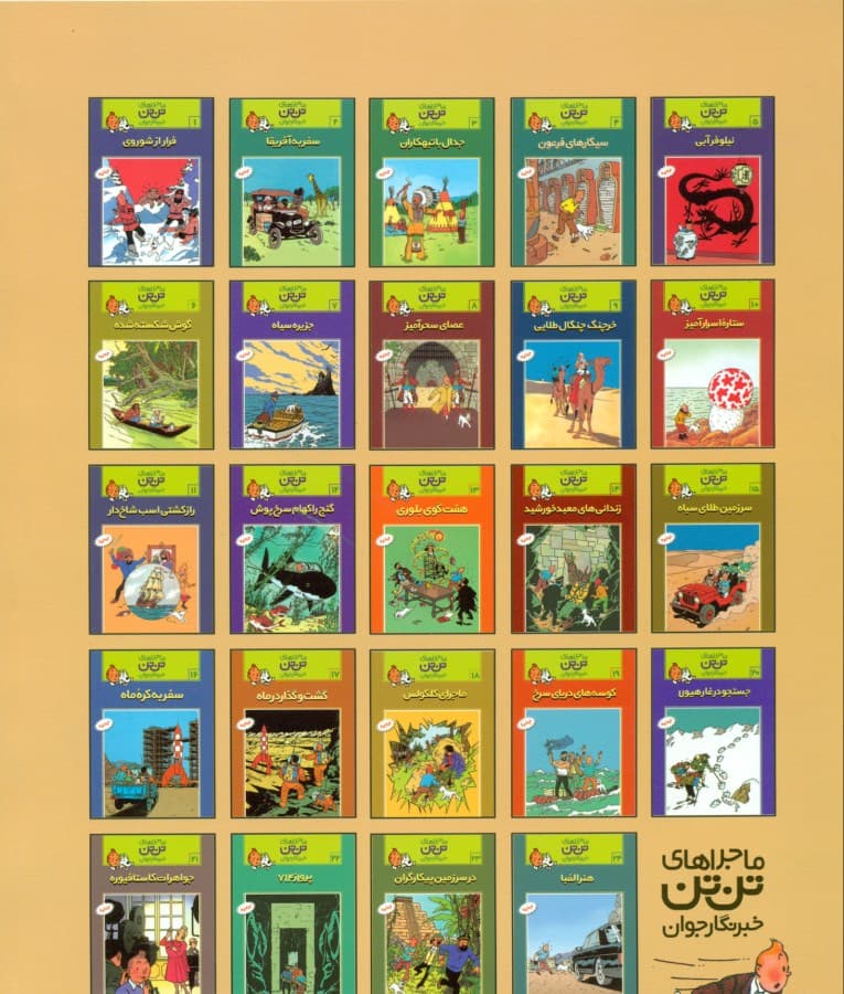 در سرزمین پیکارگران (تن‌تن)