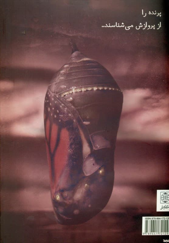 قمارباز (از یادداشت‌های 1 جوان)