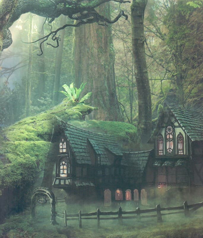 معجزه‌ای برای پرین