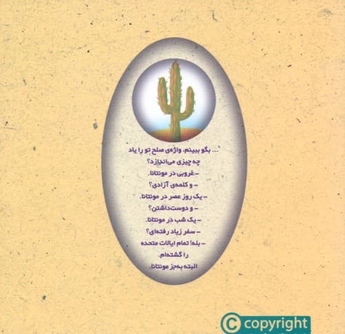 داستان‌های دروغگو (جادوهای آرژانتینی 2)