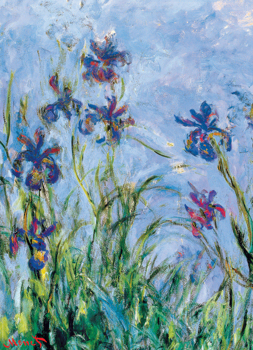 پازل 1000 تکه زنبق‌ها اثر کلود مونه (6000-2034) طرح Irises