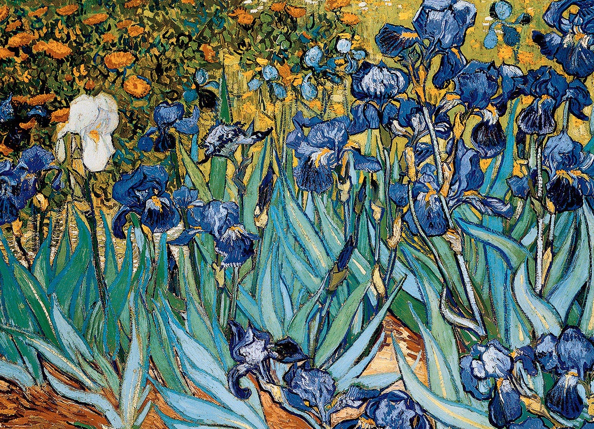 پازل 1000 تکه زنبق‌ها اثر ون‌سان ون‌گوگ (6000-4364) طرح Irises