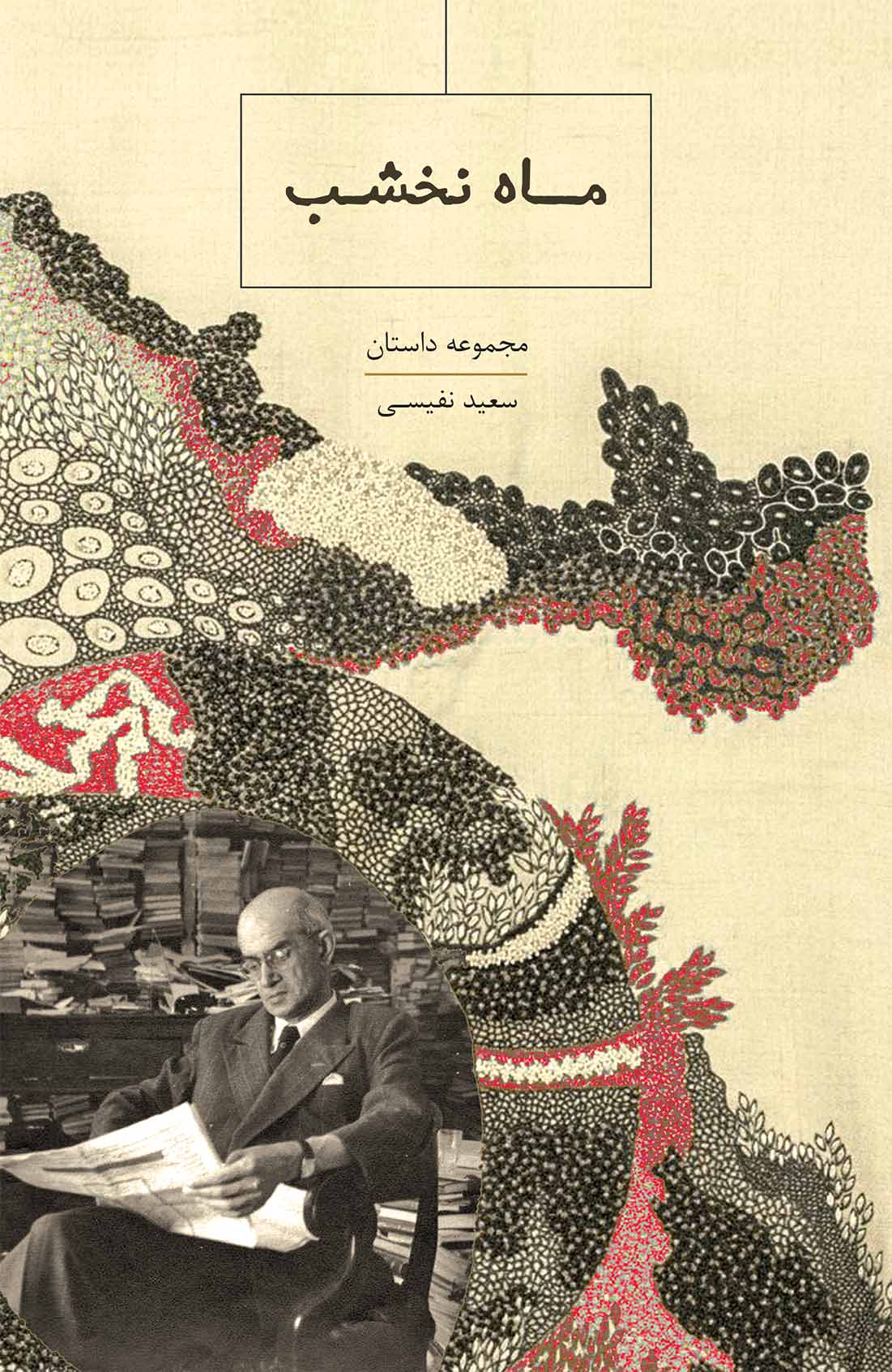 ماه نخشب