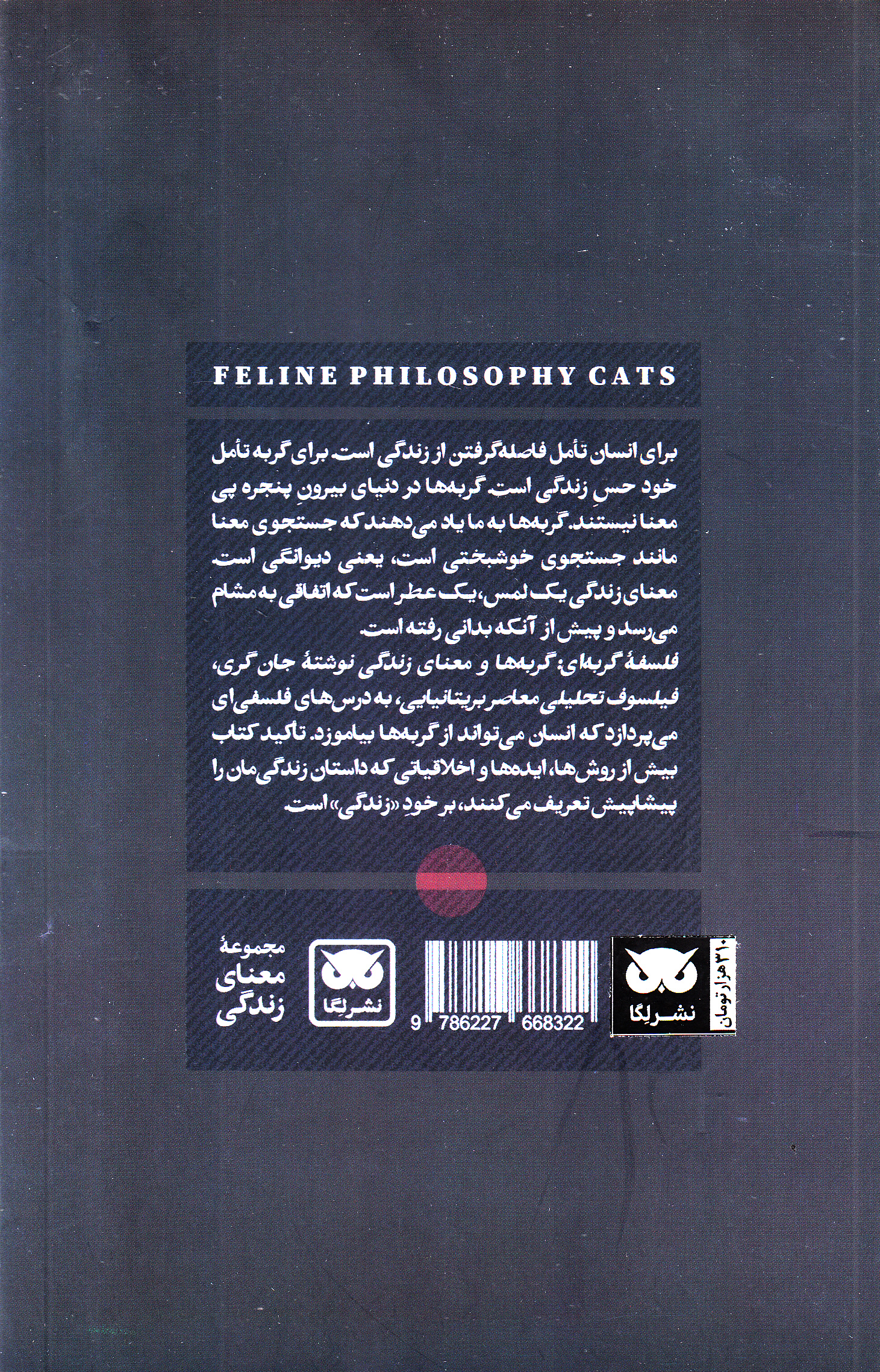 فلسفه گربهای (گربهها و معنای زندگی)